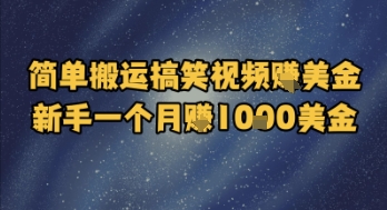 简单搬运搞笑视频挣美金，新手一个月入1k美金-轻创副业圈