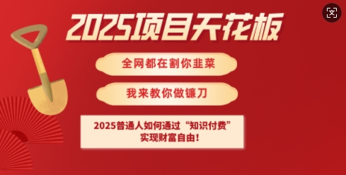 2025项目天花板普通人如何通过知识付费，实现财F自由【揭秘】-轻创副业圈